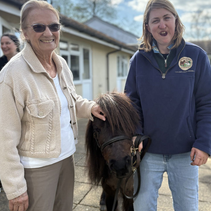 Digby The Shetland Pony Pays A Visit To The Anchorage