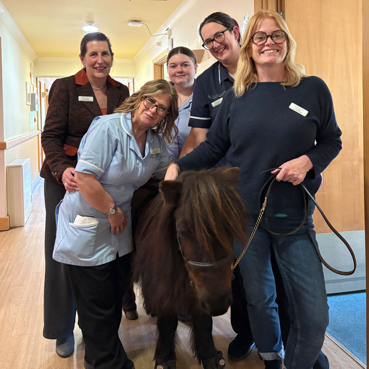 Digby The Shetland Pony Pays A Visit To The Anchorage
