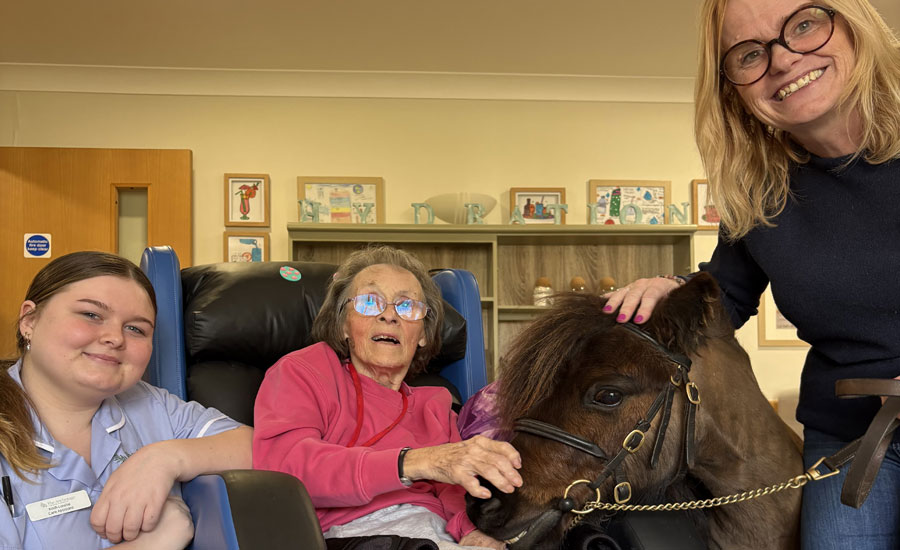 Digby The Shetland Pony Pays A Visit To The Anchorage