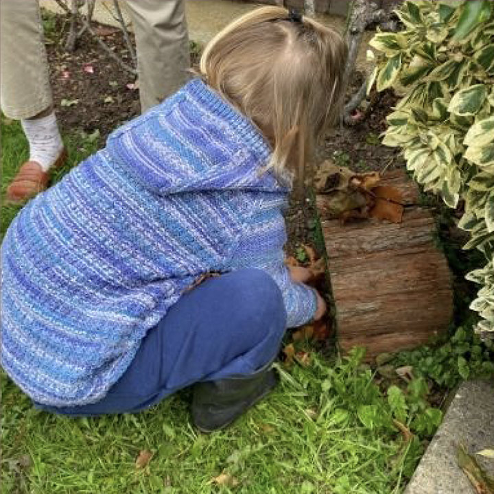 Little Birds Forest Nursery Visit The Anchorage Care Home