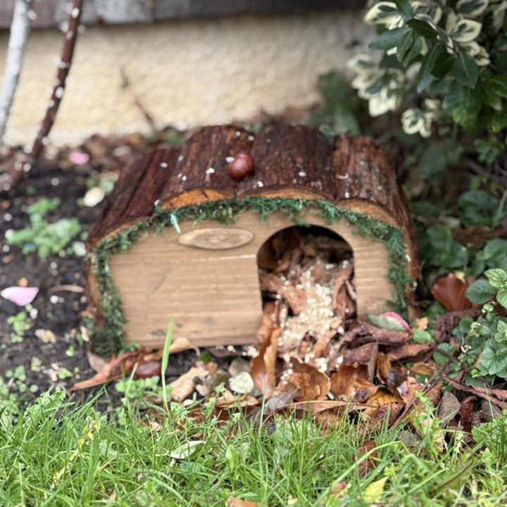 Little Birds Forest Nursery Visit The Anchorage Care Home