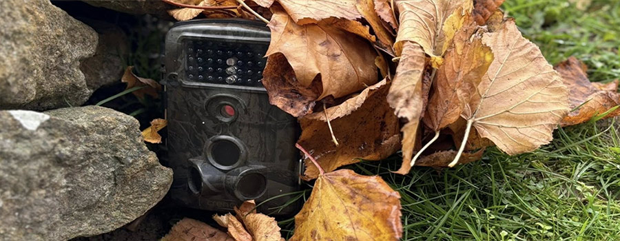 Little Birds Forest Nursery Visit The Anchorage Care Home