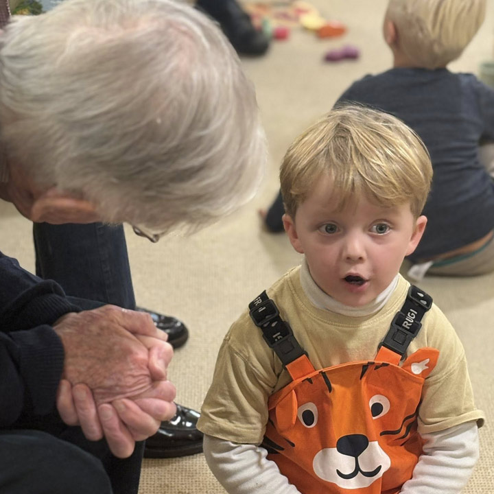 Little Birds Forest Nursery Visit The Anchorage Care Home